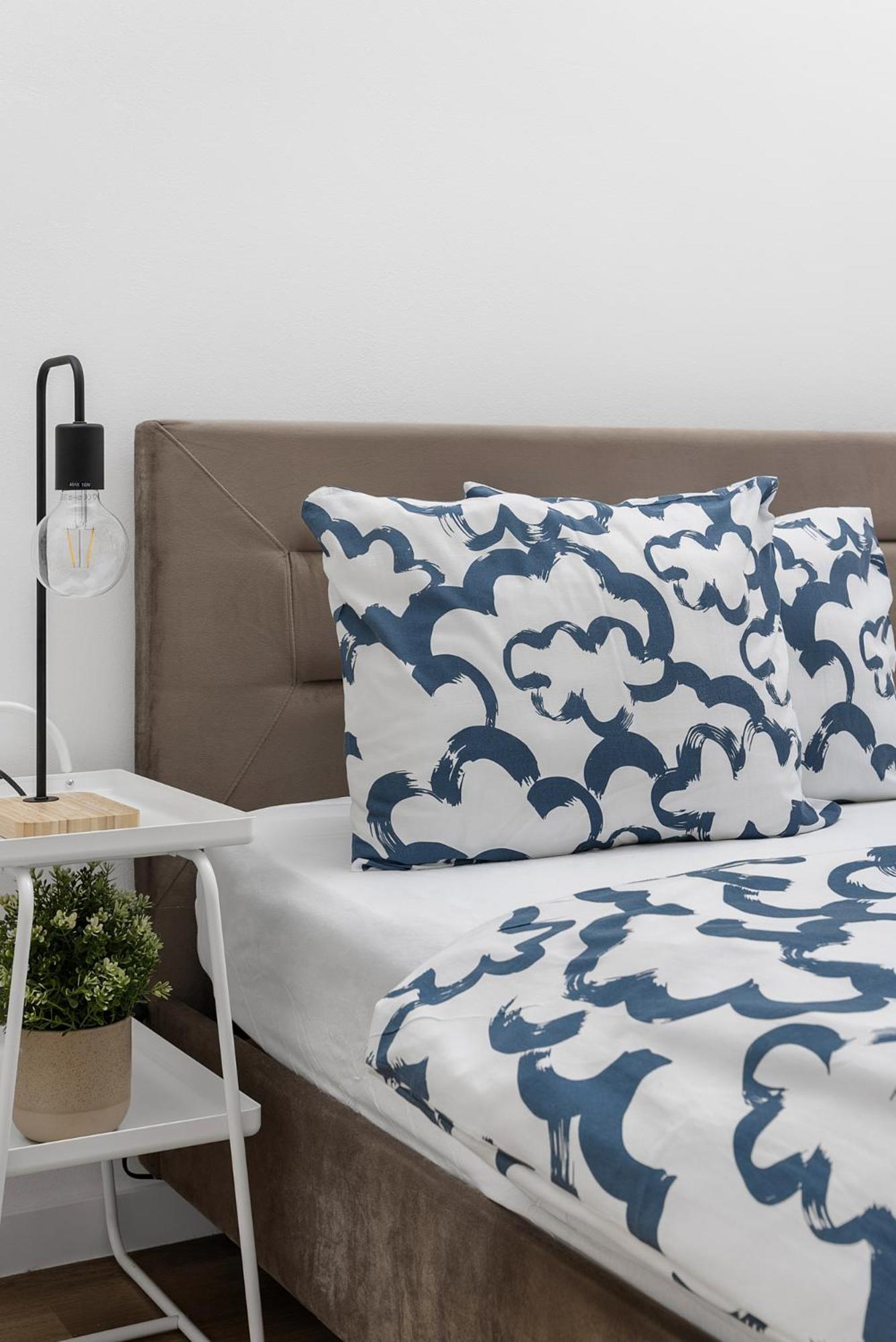 Utulny Apartman V Centru Azur ブルノ エクステリア 写真